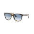 Ray Ban Sun Wayfarer II Fleck MOD. 2185 13323F 55 18 145