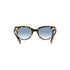 Ray Ban Sun Orion MOD. 2199 13323F 52 22 145