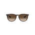 Ray Ban Sun Erika MOD. 4171 622/8G 54 18 145